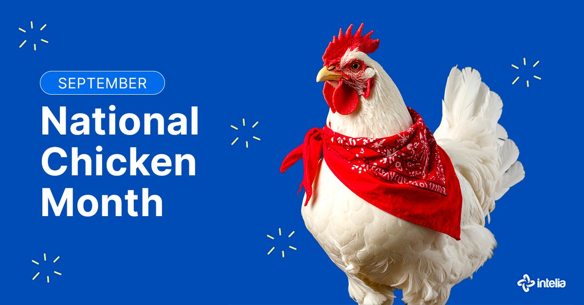 intelia.com tweet media