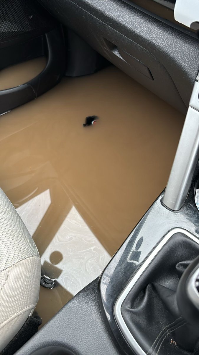 Dr. Leena Dhankhar tweet media