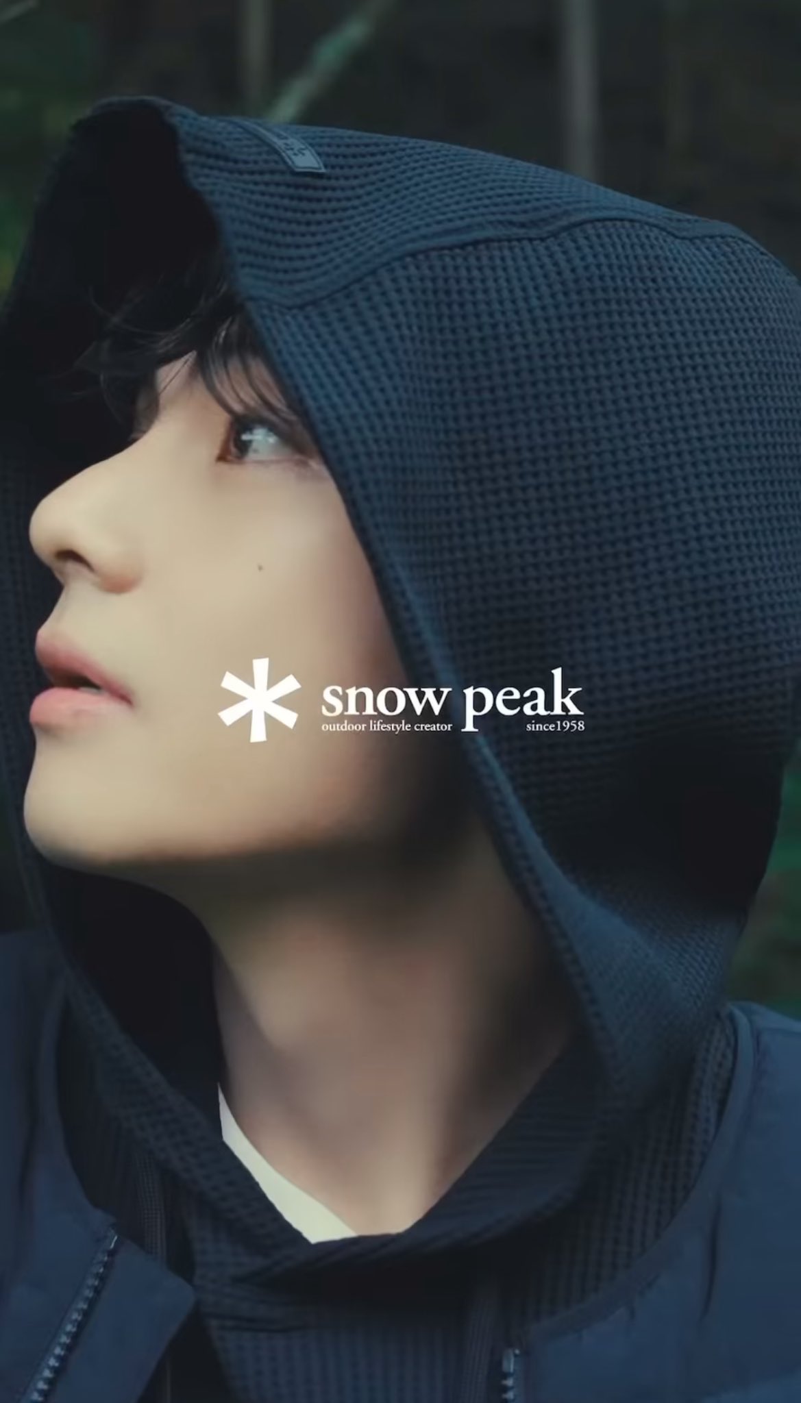 【➸♡뷔 】 할수있어!!🐻🐯🐬 on X: 