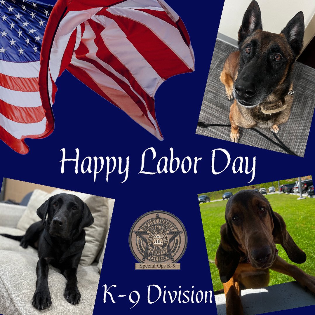 Happy Labor Day from the Haralson County K-9 Division! 

#K9Division🐾 
#LaborDay 
#K9Tora🐾💙 
#LabradorK9
#LaborDayWeekend 
#SpecOpsK9s
#K9Copper🐾 
#BloodhoundK9 
#HappyLaborDay 
#CSUK9s 
#K9Janco🐾 
#MalinoisK9 
#HappyLaborDayWeekend 
#HCSOK9Division 
#HCSO