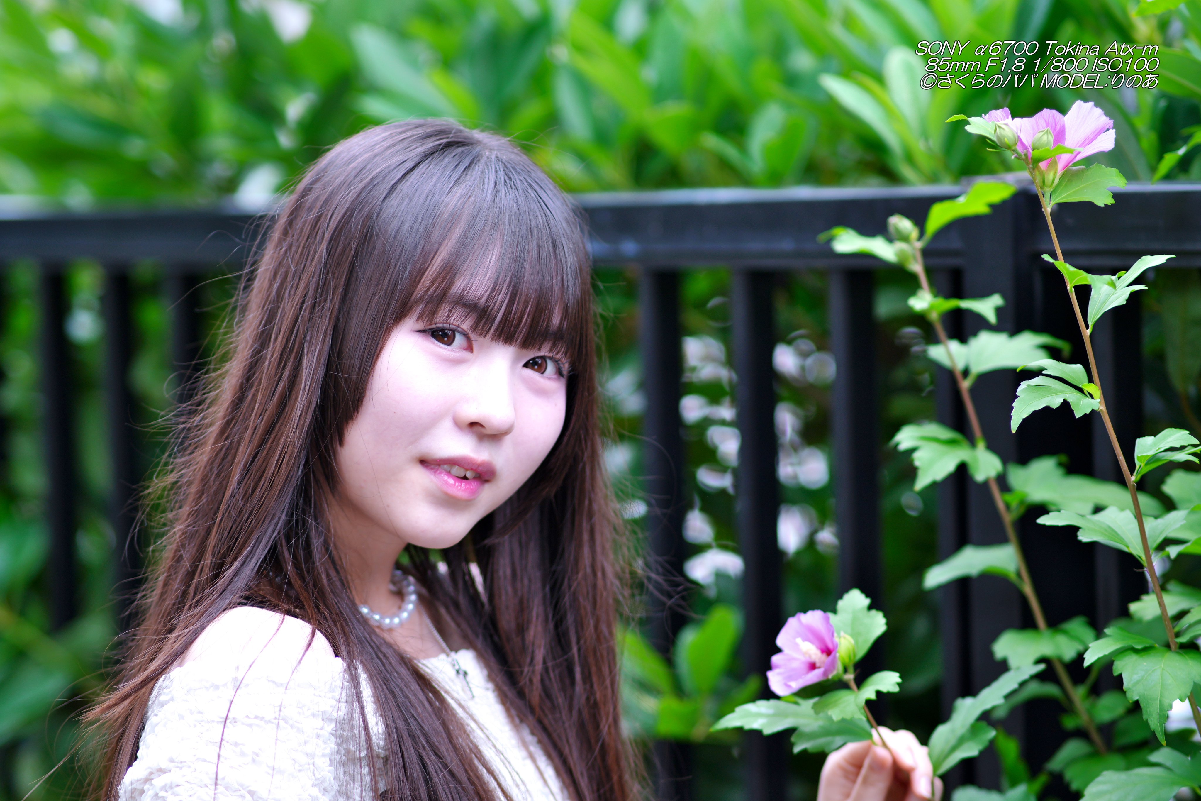 【バラ売り可】天目　貴人　草山　黒と白　高台 寝蔵 NEGURAのご案内 愛知県西尾市のオーダーメイド枕・ベッド