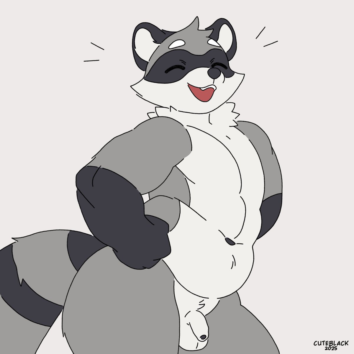 chubby raccoon