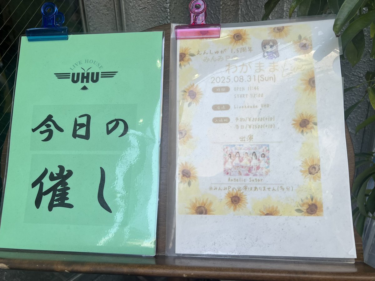 えんしゅが1.5周年おめでとう！
衣装も可愛かった🪽🤍
ちょうど1年前にいちごちゃんも加入して、
色んな現場に行けて楽しい1年でした。

今月は生誕祭、
来年2月には2周年ライブも決まって、
楽しみたくさんあるし、
これからもたくさんついて行くよ🪽

#えんしゅが
#いちごちゃんお世話係
#桃白いちご