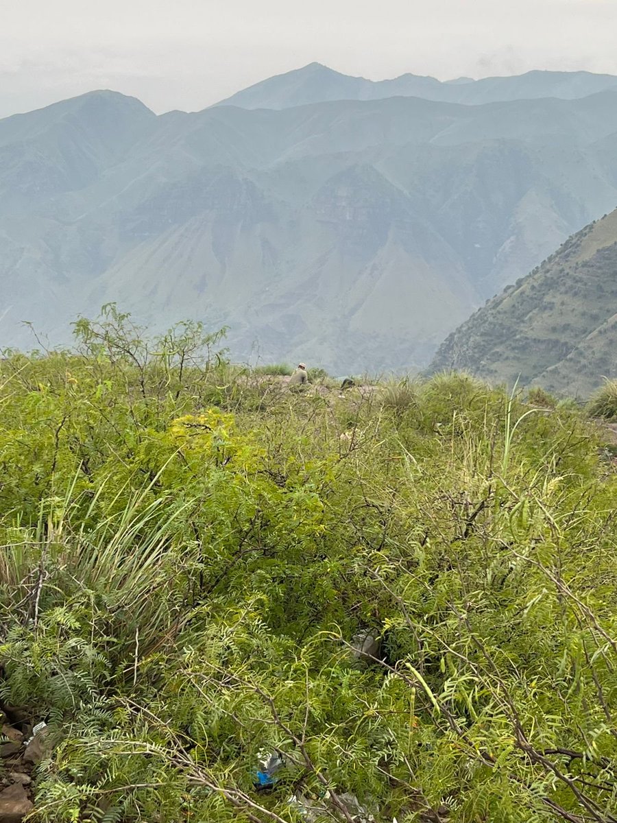 cerasonar (@cerasonar) on Twitter photo 