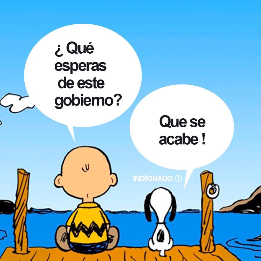 Patricio Gajardo Lagomarsino. (@patriciolagom) on Twitter photo 