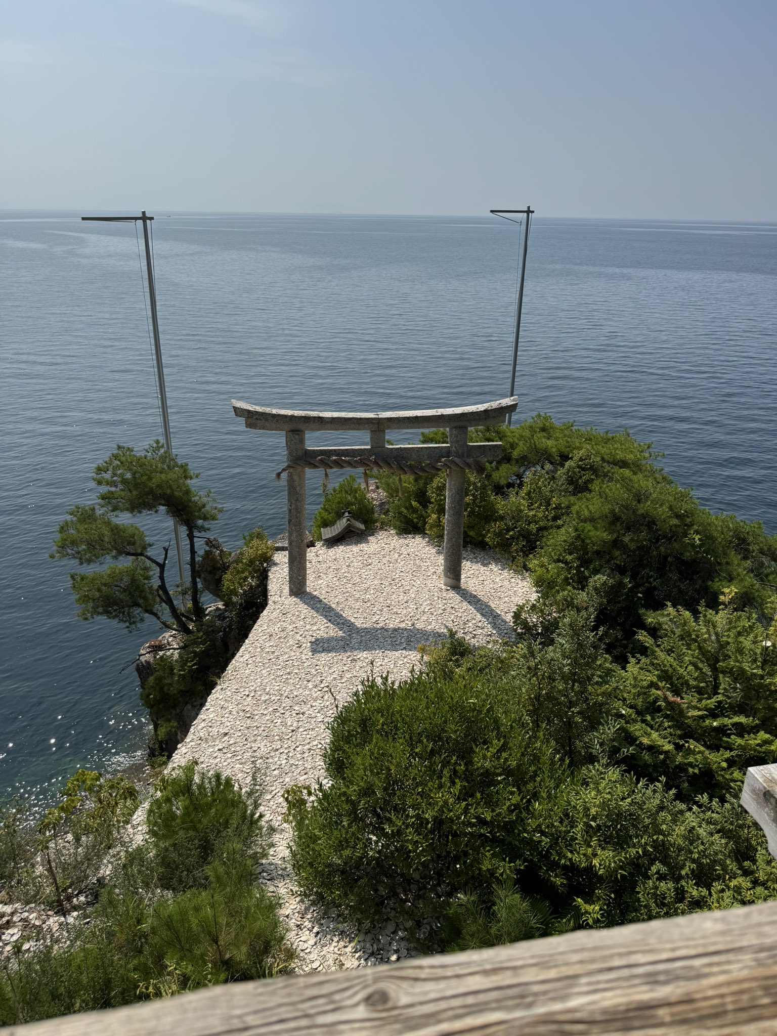 【夏休み】行ったつもりで北海道みやげ『竹根に佇む竹製のオジロワシ』☆超絶技巧☆ 久慈の大子@pyon'z on X: 