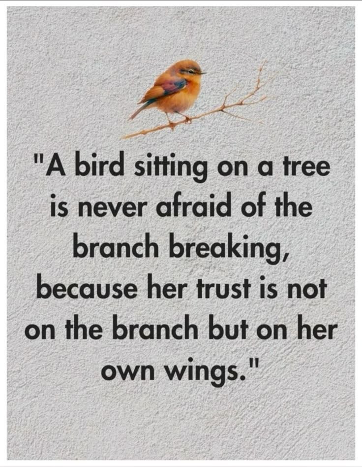 mindfulmaven_'s tweet image. 