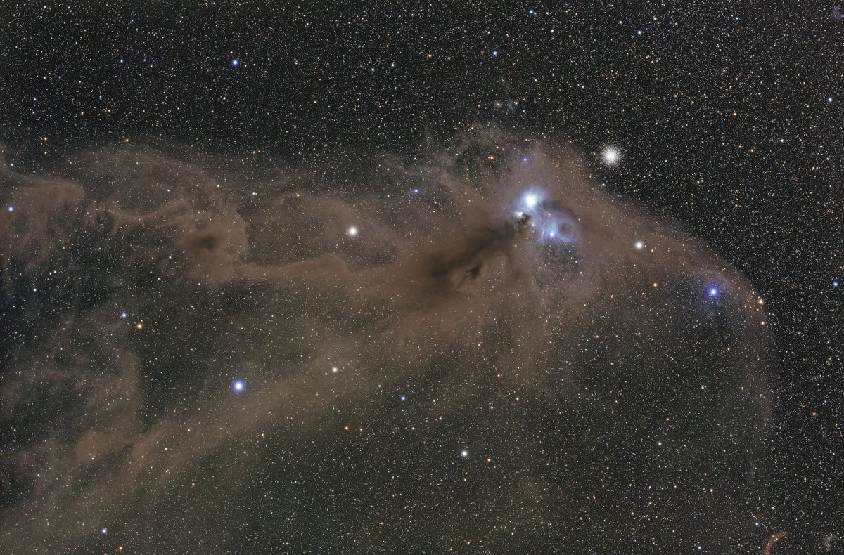 テキサス産のアリクイ星雲になります。
南緯36°位なので秋田だと南中高度が10°ちょい、まあ無理ゲーですね。
鹿児島とほぼ同緯度のテキサスでも難物には変わりないですが…

アリクイ自体は自分的に2次元でしか見たことないですね。
たぶん上野辺りにいるかと思うので、そのうち確認しないと…