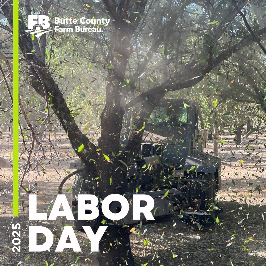 ButteCFB's tweet image. On this Labor Day and everyday we marvel in the technology, science and grit that it takes to bring our agricultural bounty to your family’s tables. California farmers and ranchers work year round to ensure the safest and most affordable food supply in the world.