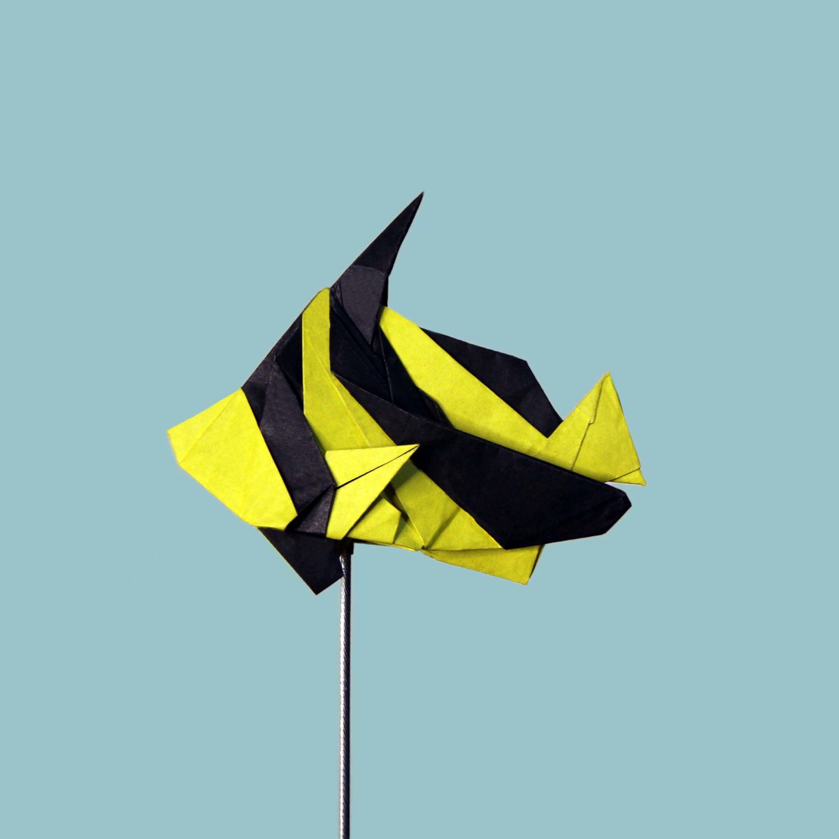 珊瑚鱼设计之二 —— 马夫鱼