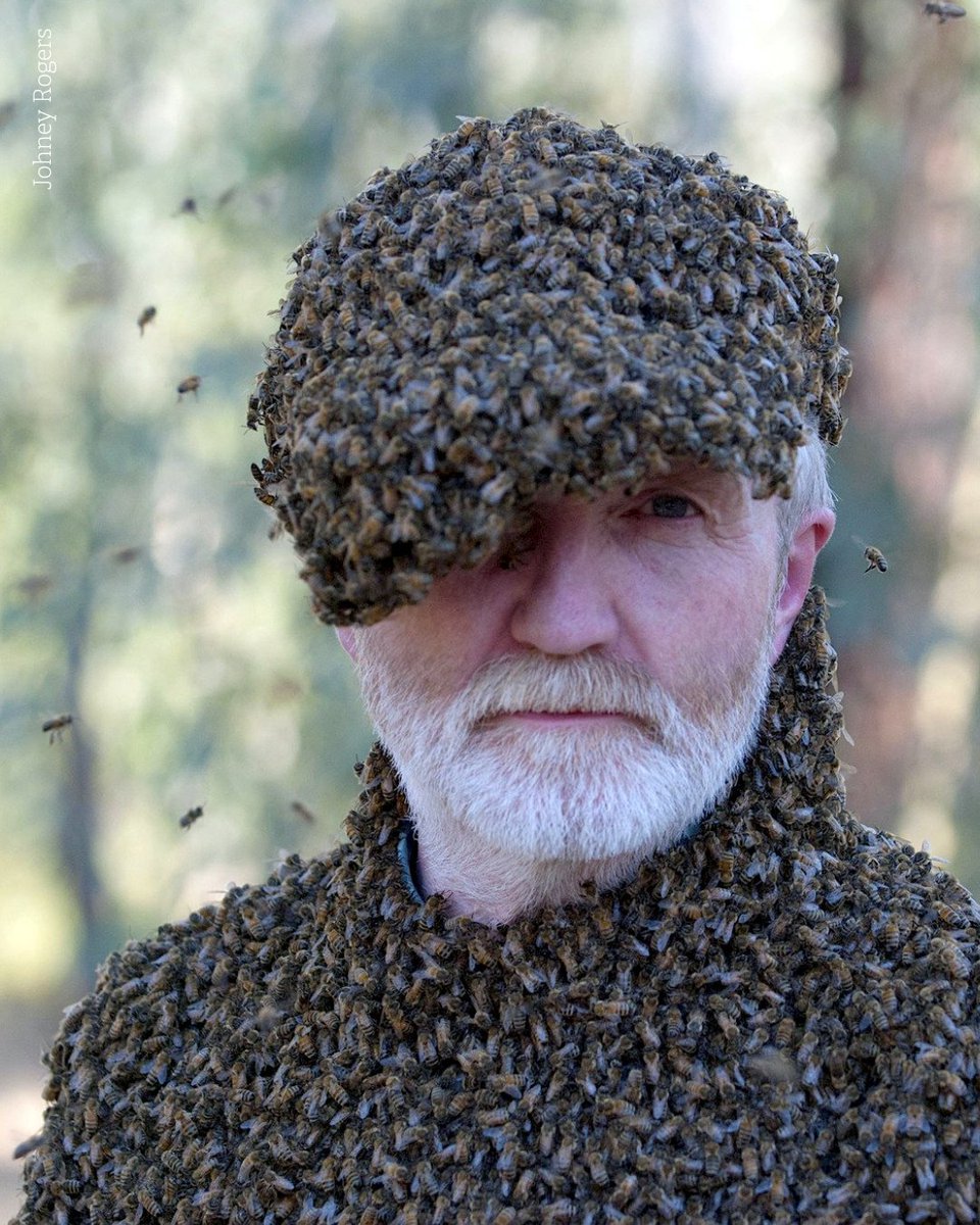 🐞🐝 We’re thrilled to welcome Dr George McGavin, renowned entomologist, author, and BBC Natural History presenter, for an inspiring talk you won’t want to miss!

📅 October 18th
📍 Penybont Community Centre

Get tickets now: bit.ly/4n3HmFq