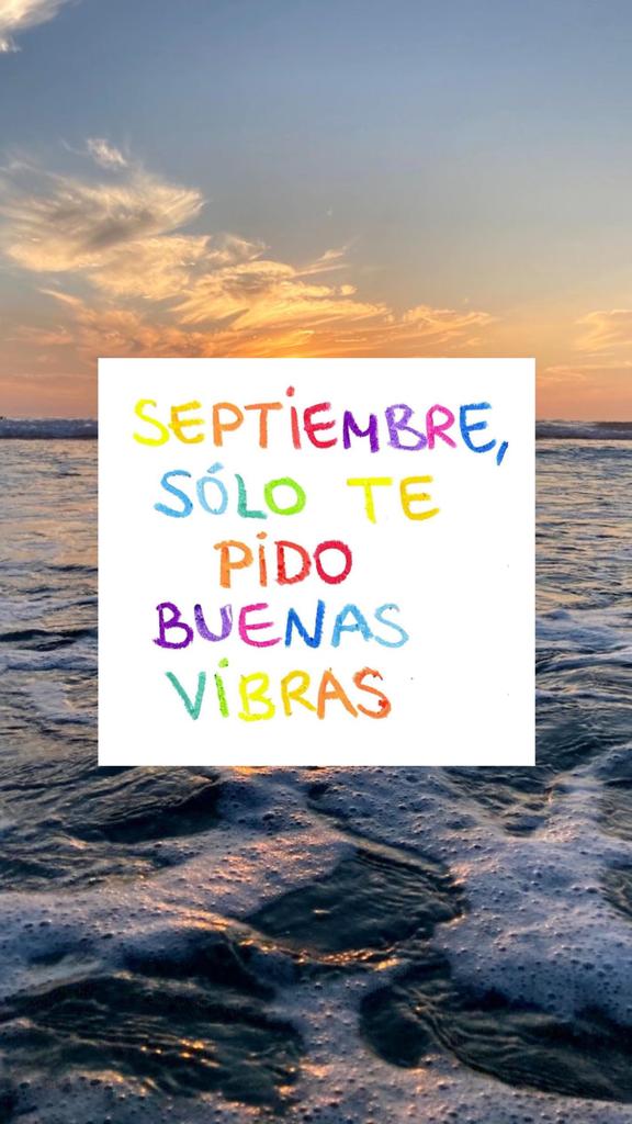 Pepe 🐒 (@pepece96) on Twitter photo 