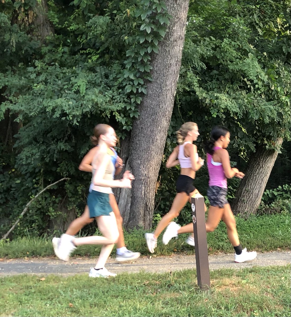 mhsxctf's tweet image. This Metuchen XC group put in their miles this summer - meeting as a team every Tuesday,Thursday, & most Saturdays & on their own the other days.
Our new girls got their spikes at Runner’s High Spike Night last week so we are so ready & excited to see this young team develop!