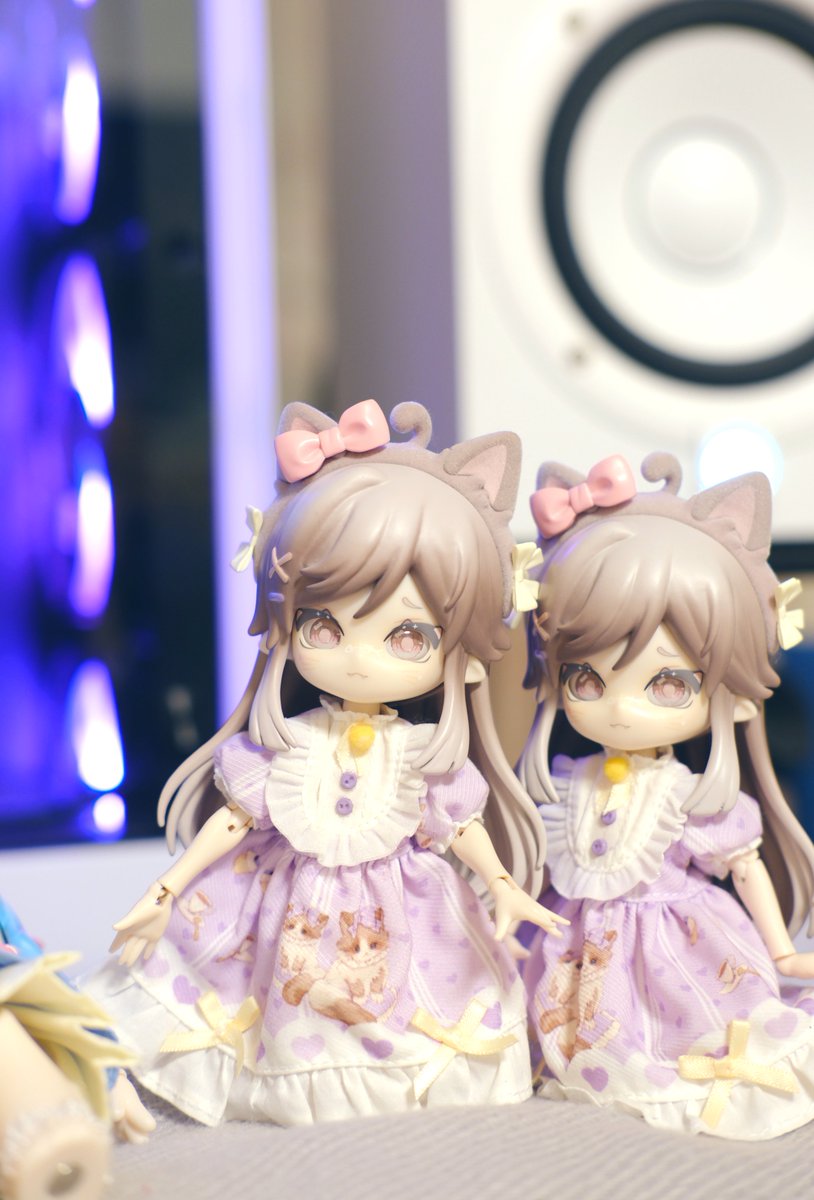 冷ややかな目で見てるねこネコさん
🐈「雑な人ね」
🐈「性格が出てるわ」

#うちのこかわいい 
#MINTY
#ミンティ