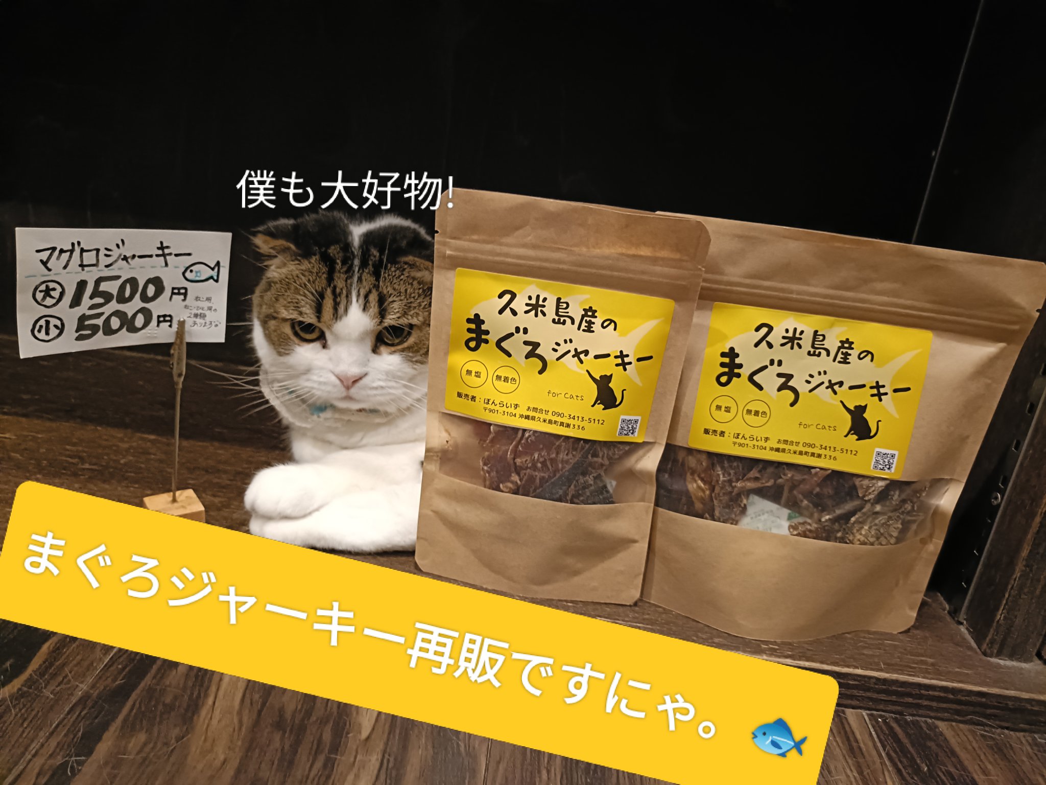 ♡ ねこちゃん 様、専用♡※他の方はご遠慮ください‼️ Repost @nyansken with @use.repost ・・・ 新しいダンボール