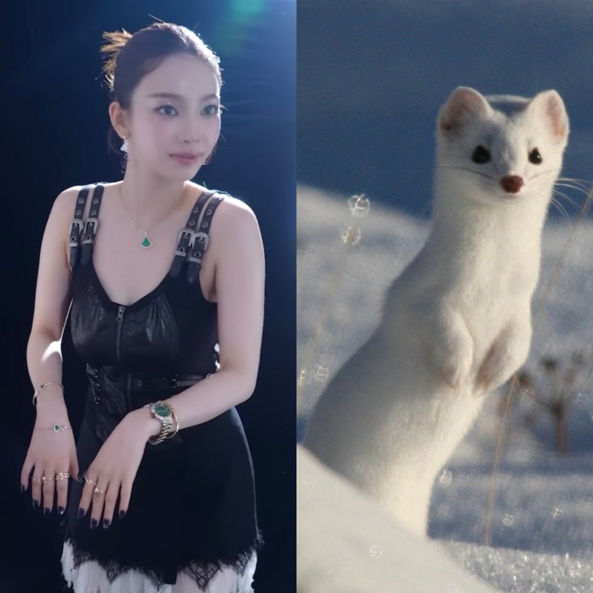 꿀 (@hunny__01) on Twitter photo 