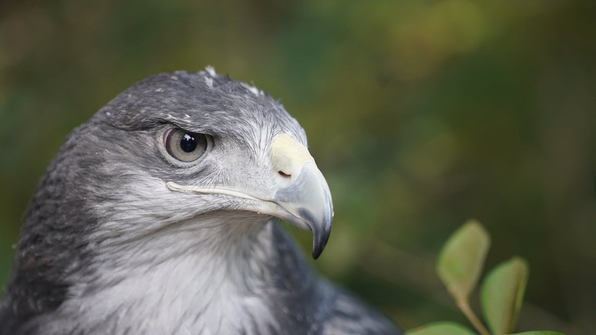 ¡Buenos días! Visita Parquemet y la Red de Parques Urbanos 🌳

👉06:00 a 19:00 horas.

Acceso Parquemet:

📍Pío Nono
📍Pedro de Valdivia 
📍Zapadores 
📍La Pirámide