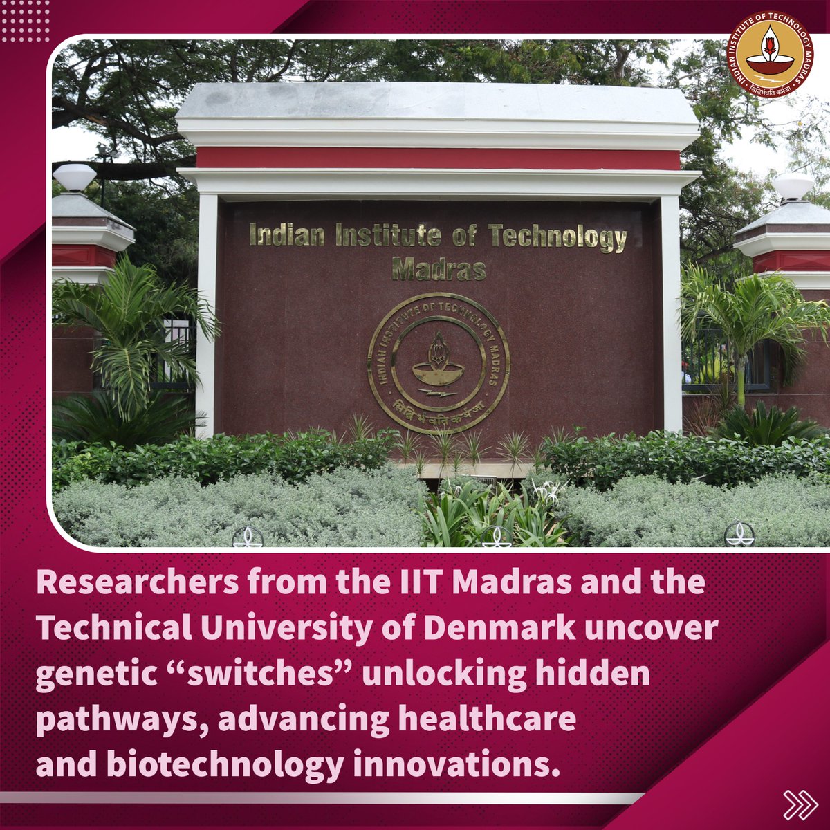 Researchers at <a href="/iitmadras/">IIT Madras</a> and the Technical University of Denmark (<a href="/DTUtweet/">DTU</a>) have discovered how interactions between genetic variants act as “switches” that unlock hidden metabolic pathways.

Published in Nature Communications, the study shows how two yeast variants, when