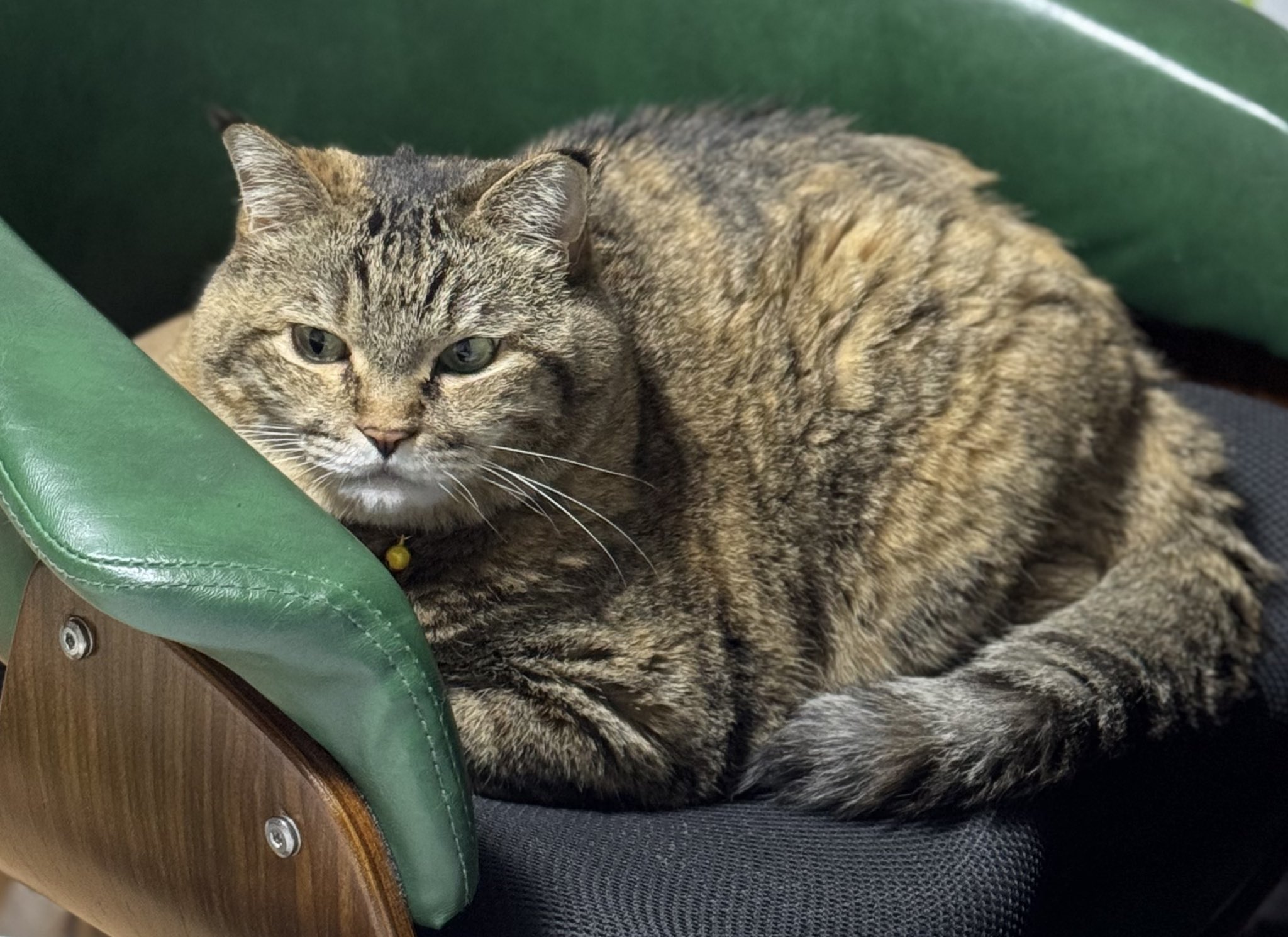 ♡ ねこちゃん 様、専用♡※他の方はご遠慮ください‼️ 9q-rN0QQ_200x200.jpg