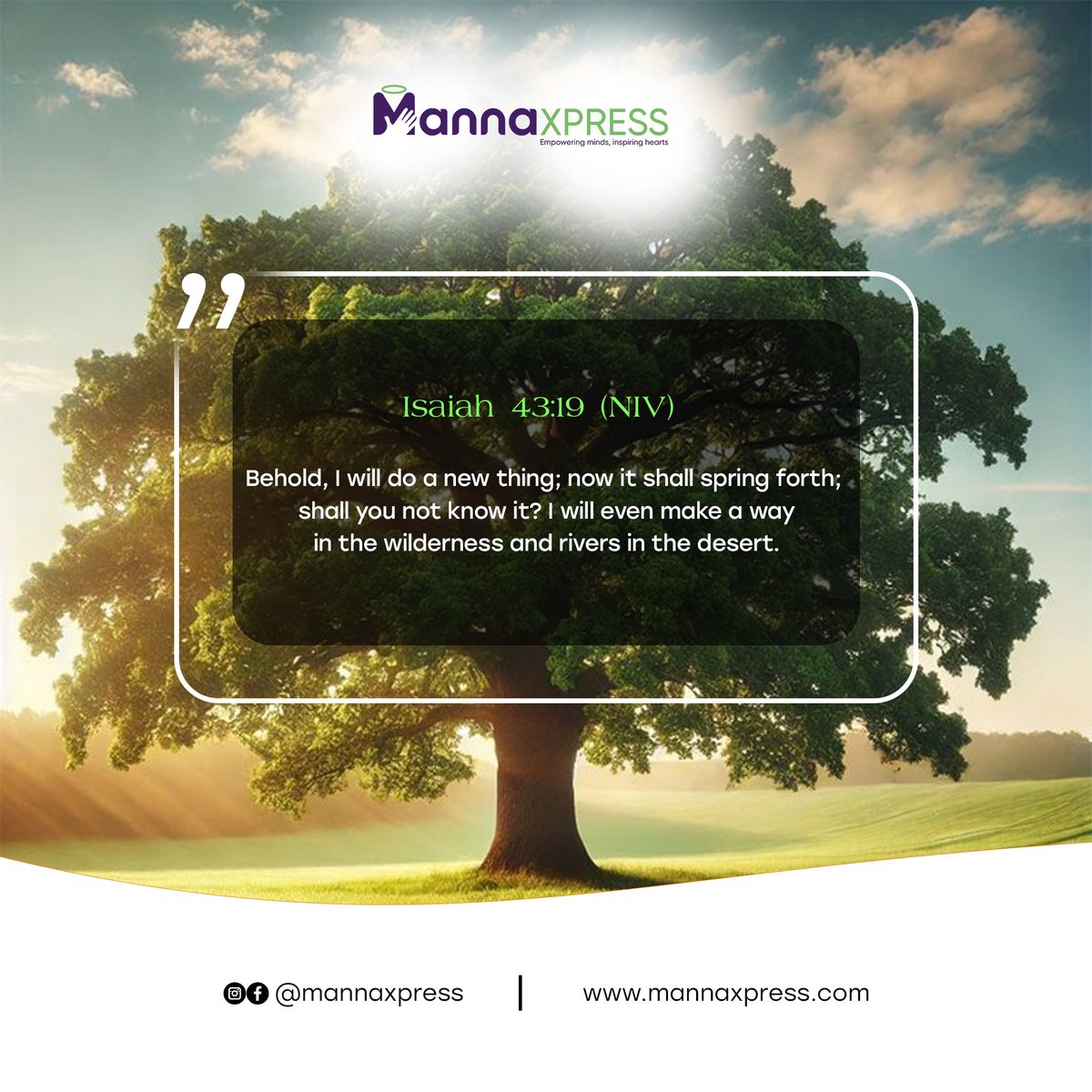mannaexpressOL's tweet photo. 🌟 𝐃𝐢𝐫𝐞𝐜𝐭𝐢𝐨𝐧 𝐨𝐟 𝐭𝐡𝐞 𝐖𝐞𝐞𝐤 / 𝐌𝐨𝐧𝐭𝐡 𝐊𝐢𝐜𝐤-𝐨𝐟𝐟

It’s a brand new week, and a brand new month! 🌸
God is opening new doors, rewriting old stories, and making a way where there seemed to be none. Step into this season with faith https://t.co/9Zsrv1Cq83
