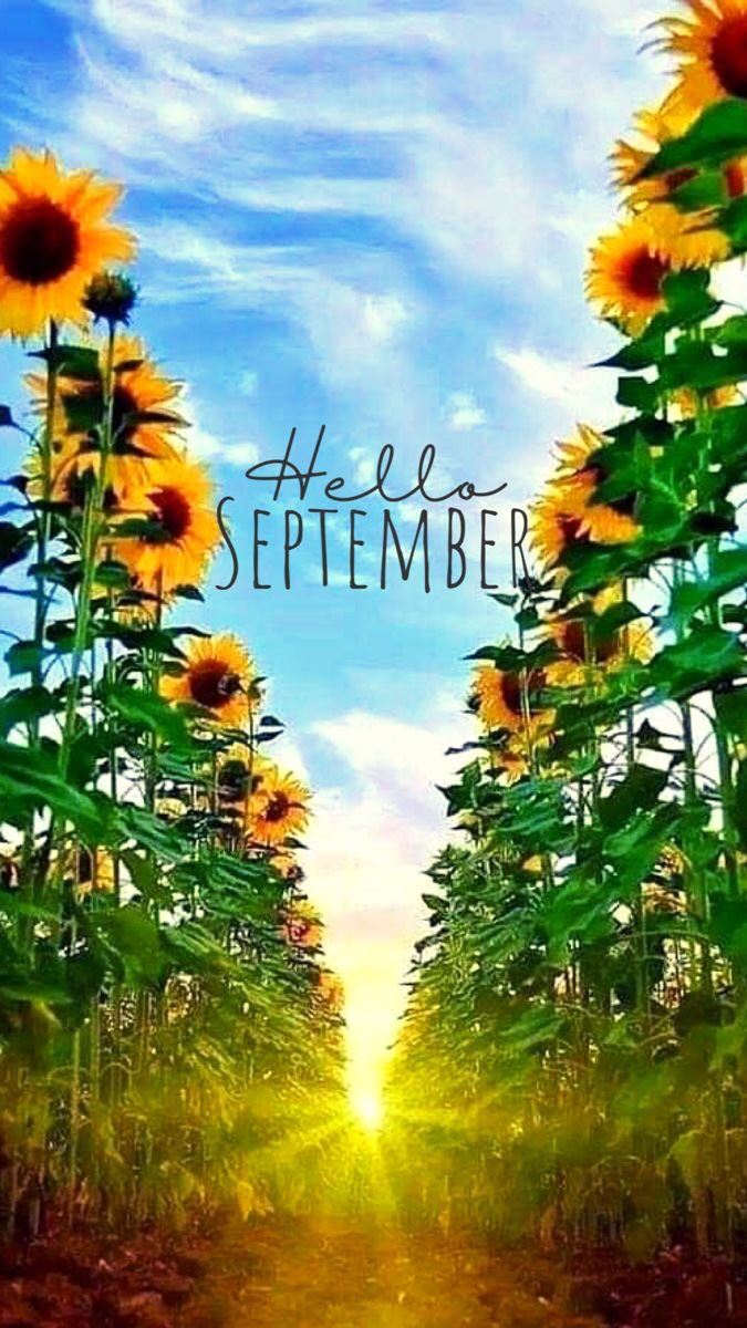 ShonnaC21's tweet image. Good Morning! #HelloSeptember