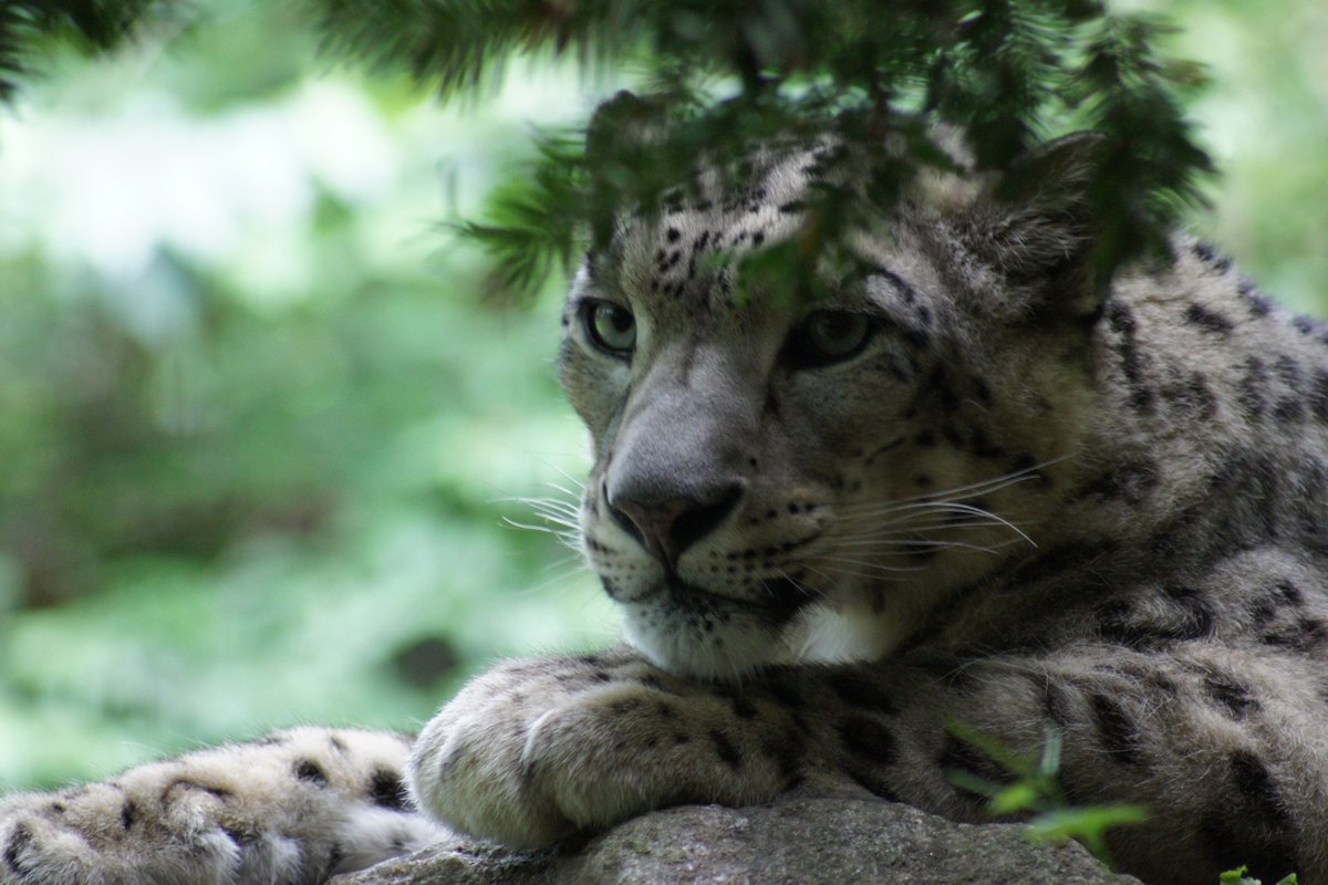 HAPPY SNEPTEMBER EVERYONE! have a snep! i almost forgot that! also snep maybe coming out more often if this is the case!