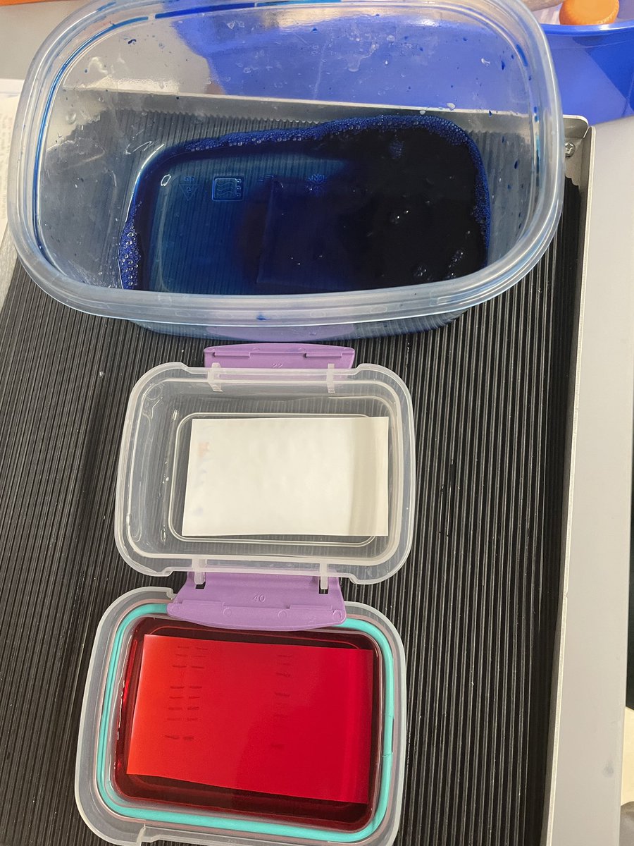 LabMito's tweet image. Happy
Labor Day!!!😃
Labor Day!!🤗
Lab-or-day!🙂
Lab or day?🫠
Lab day.🧪🙄

Lab 🙃

#LaborDay2025 #working #lab #collegestudents #biochem #chemistry #ASBMB #scientist #University #UNF #Trending #MedicalMonday #Medical #Biological  #summer #LaborDayWeekend #justdoit