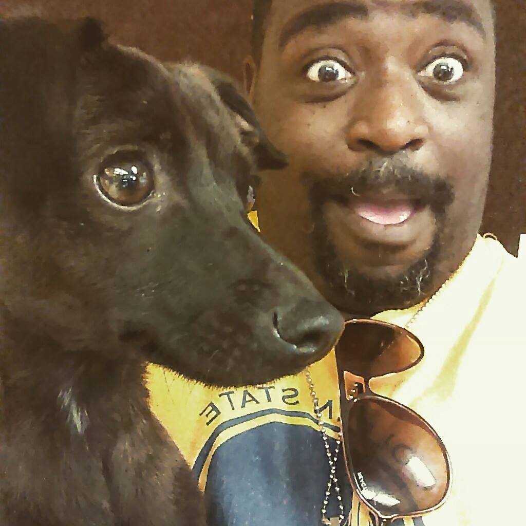 Taking Curry to the vet today. (He is sick) Keep him in your prayers. 
#DogDad