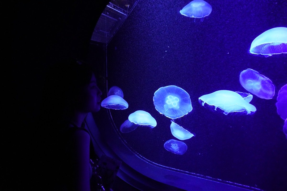 aui_u_u's tweet image. このフィルム可愛い💕

#日常垢 #日常垢さんとつながりたい