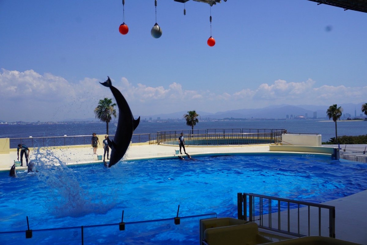 aui_u_u's tweet image. このフィルム可愛い💕

#日常垢 #日常垢さんとつながりたい