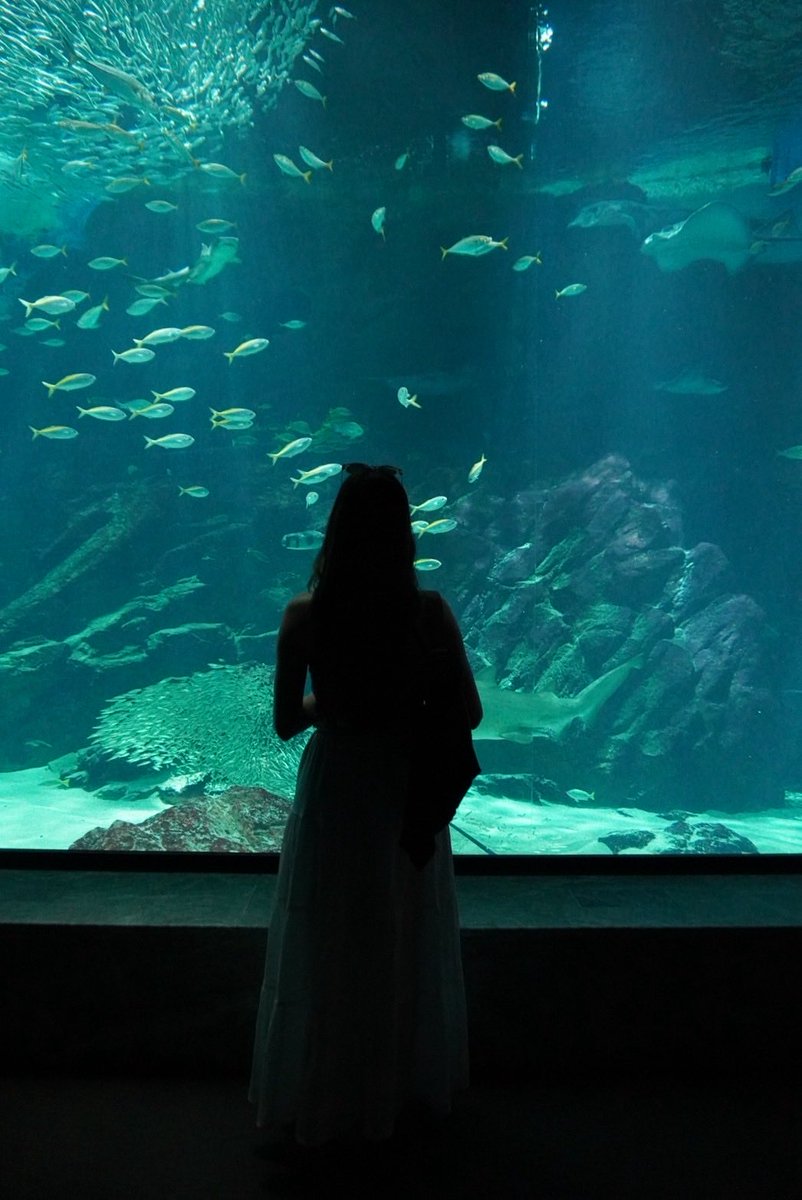 aui_u_u's tweet image. このフィルム可愛い💕

#日常垢 #日常垢さんとつながりたい