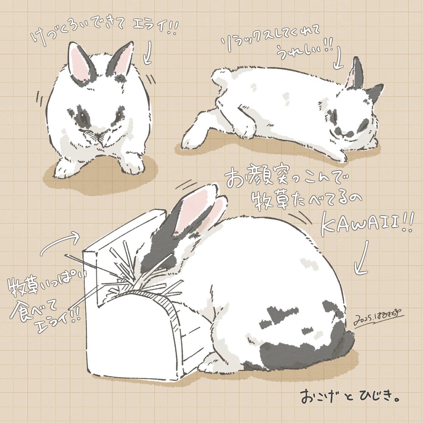 はるきち｜うさぎの絵描き on X: 