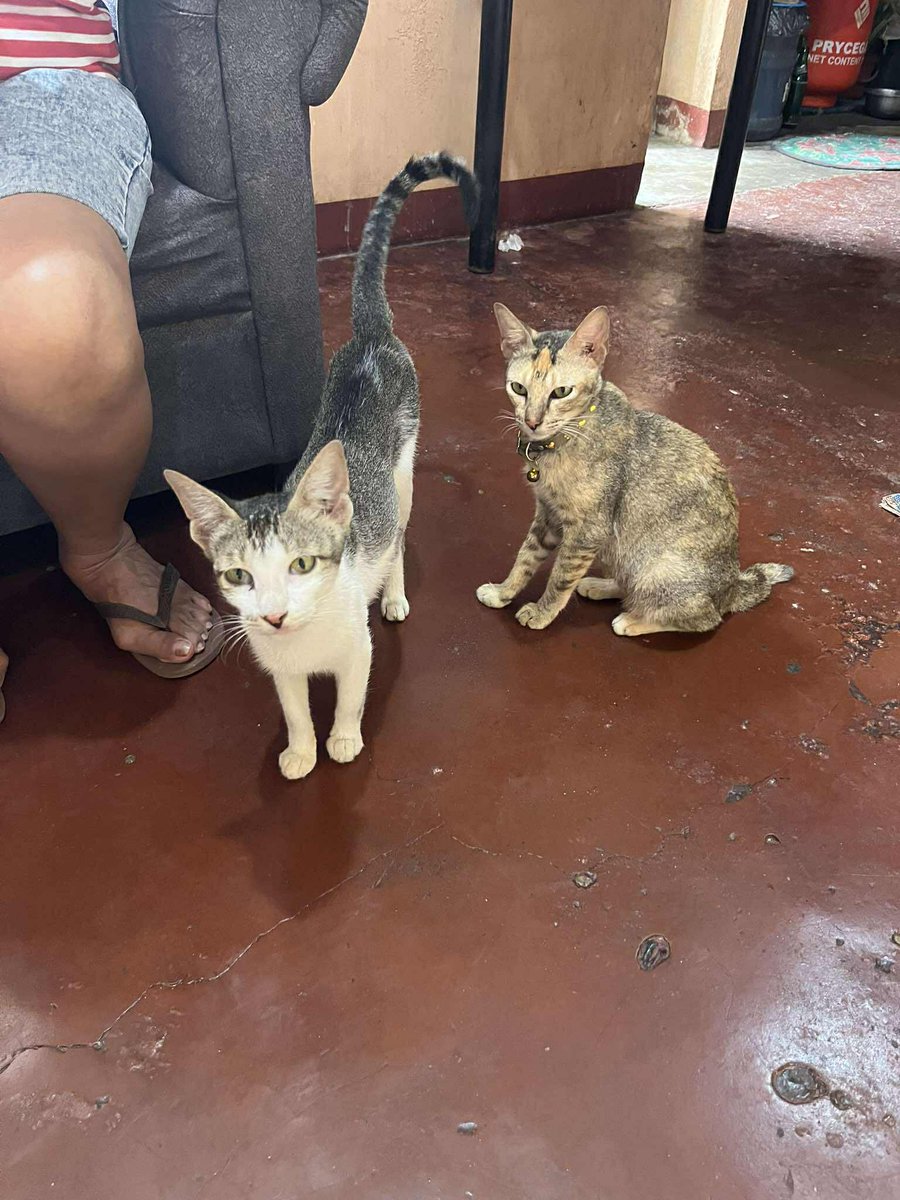 meet marijuana and doglas <33