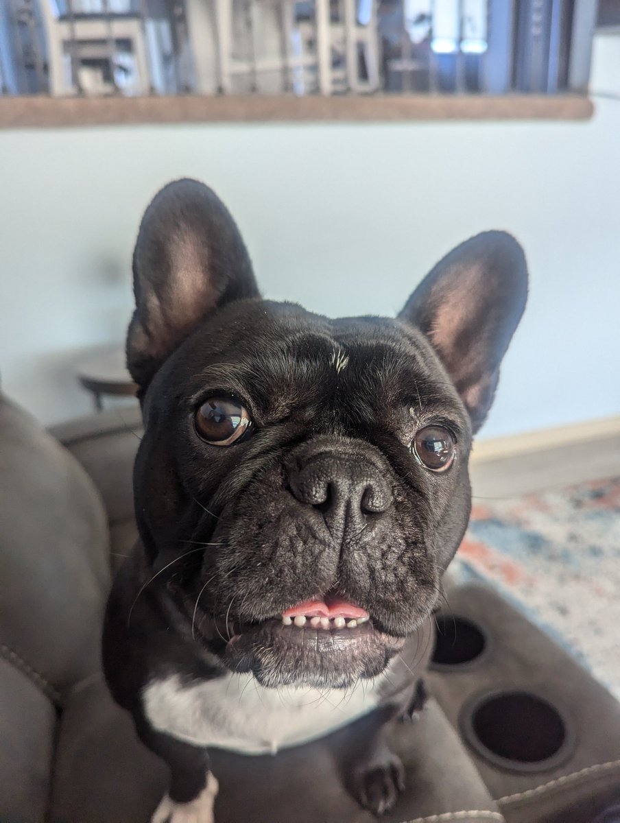 Adam White tweet media