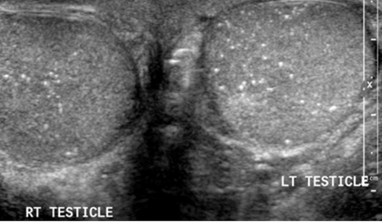 American College of Radiology tweet media