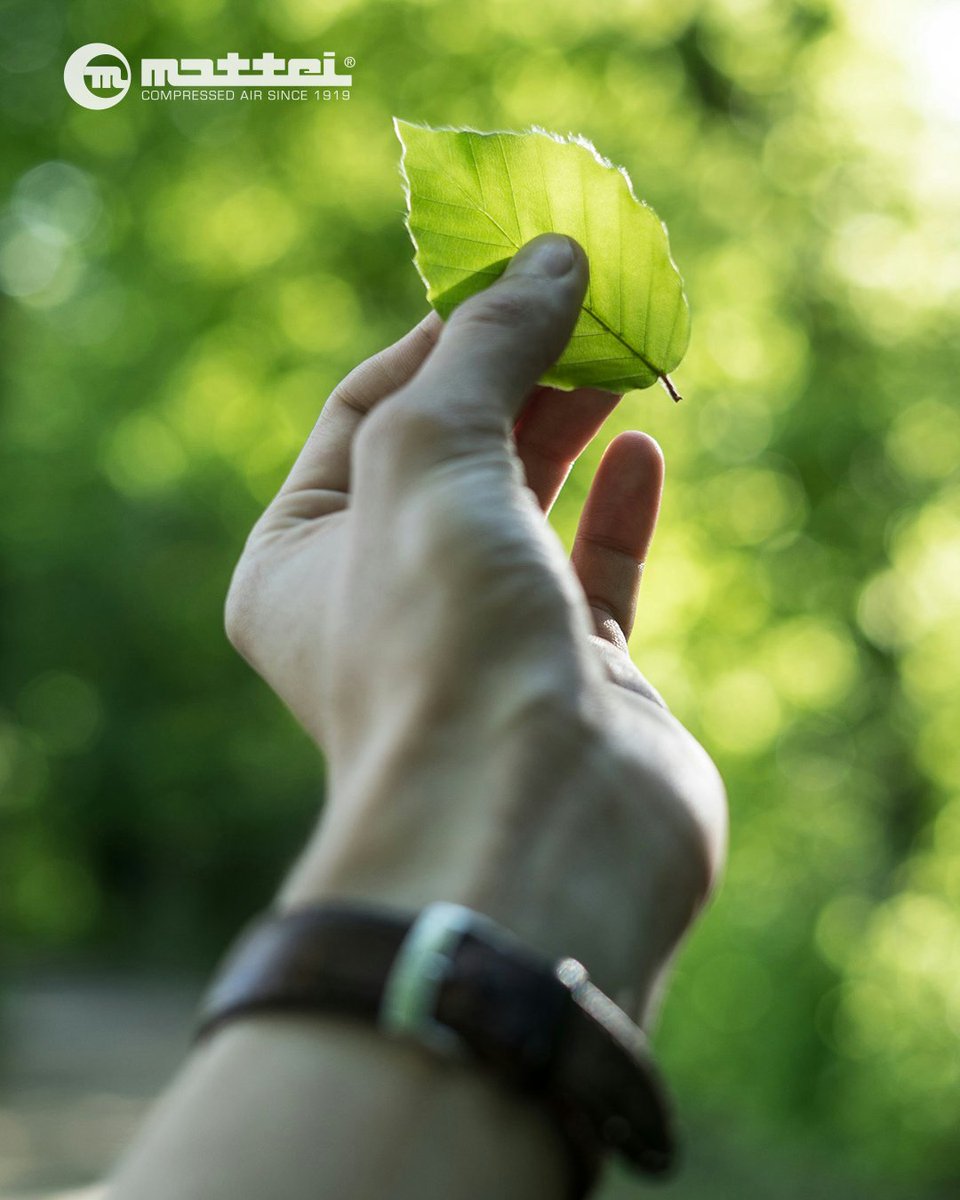 We turned sustainability into strategy and live it every day:

matteigroup.com/blog/mattei-gr…

#matteigroup #cleanenergy #sustainability