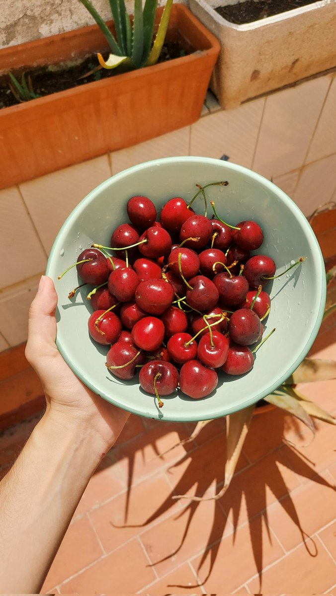 Vam coneixe'ns
A l'estiu per Llançà
Birres I platja
Quina tarda vam passar

Bufava tramuntana
De risas entre onades
I la teva mirada
Se'm va quedar clavada

Després de mil històries al septembre ens hem plantat
I és que és una putada que es faci fosc tant aviat