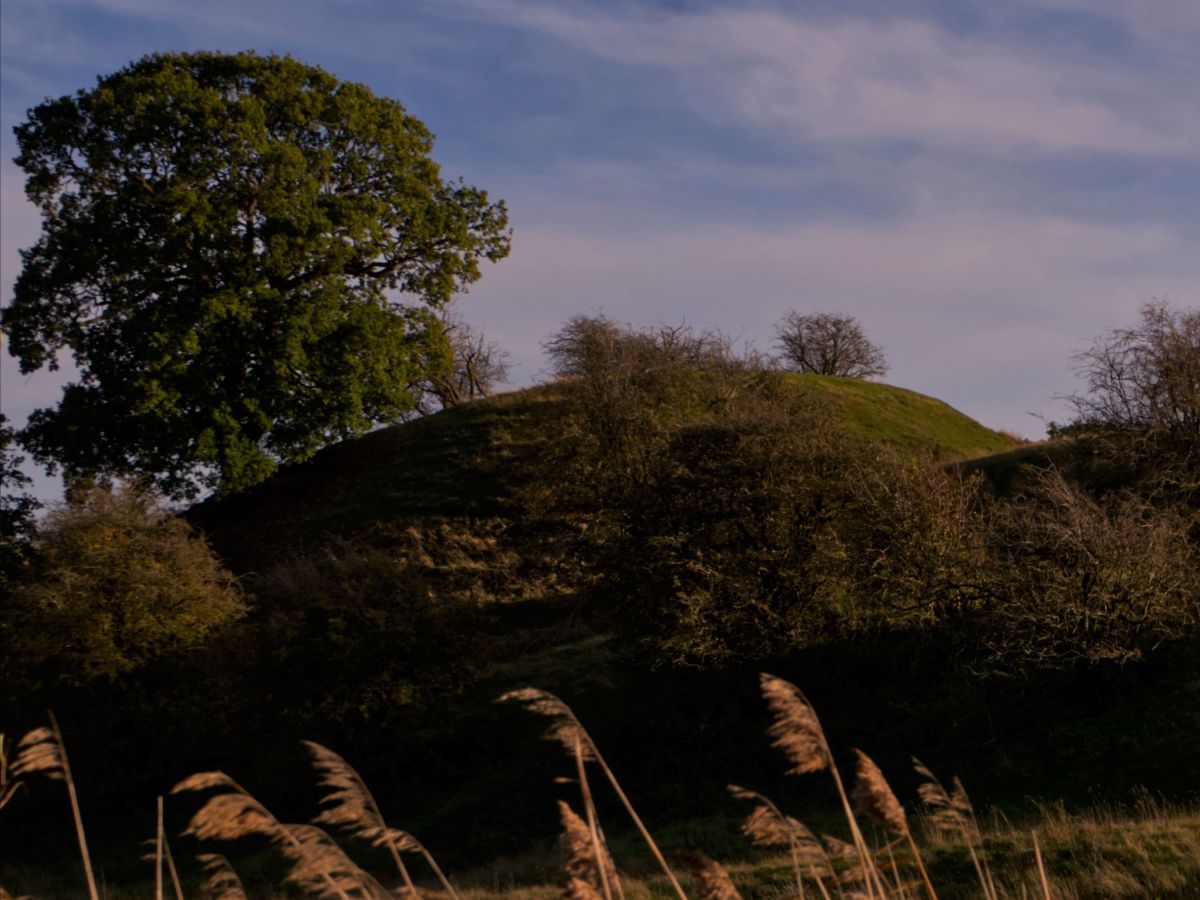 News on events coming up this autumn from The Greensand Trust across our sites - mailchi.mp/greensandtrust…