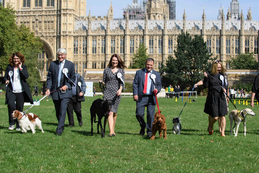 DogsTrust's tweet photo. Westminster Dog of the Year is back! MPs will be competing with their four-legged friends to see who will be crowned Parliament’s ‘top dog’. Find out more and vote for your favourite pair: https://t.co/fT1SqgBWDJ #WDOTY https://t.co/4ko7VL56vI