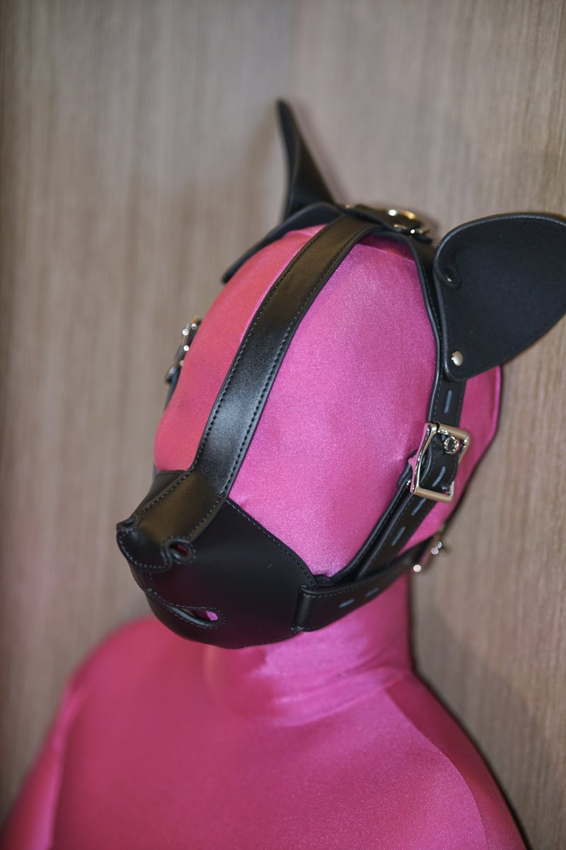 Rinke的日记 tweet media