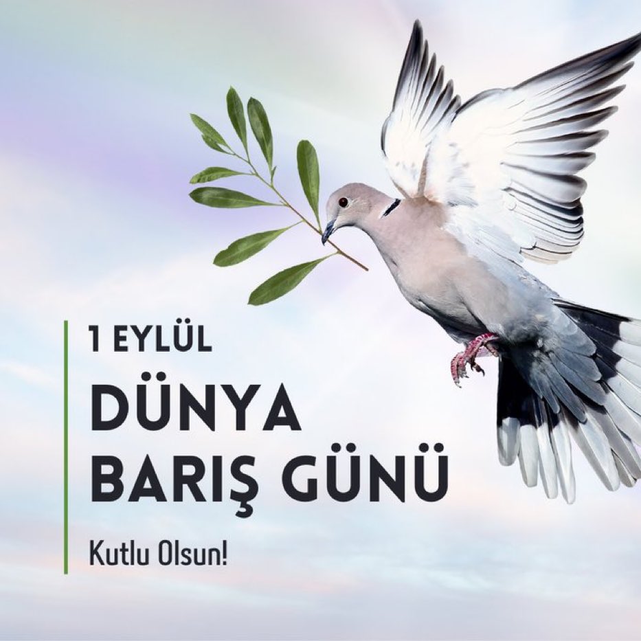 Hakverdi Gürbüz (@gurbuzhakverdi) on Twitter photo 