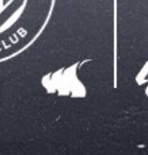 Encantame o novo logo para indicar os partido que son home (a silueta da cuberta moderna de balaidos en lugar dunha casiña). Pouco a pouco Gael vai facendo marca celta.