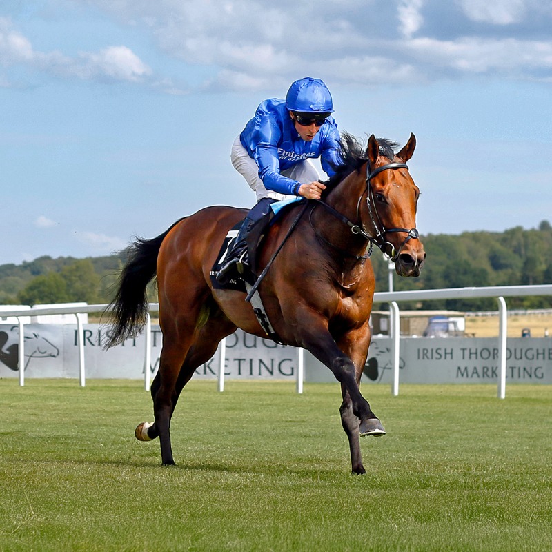 In July, Wise Approach won a Listed race for two-year-olds here at Newbury Racecourse 🏇

New for this year, he's now entitled to a £50,000 prize pot bonus if he wins the <a href="/DubaiDutyFree/">Dubai Duty Free</a> Mill Reef Stakes on Saturday 20th September 💸

A big incentive for owners and trainers 🤝