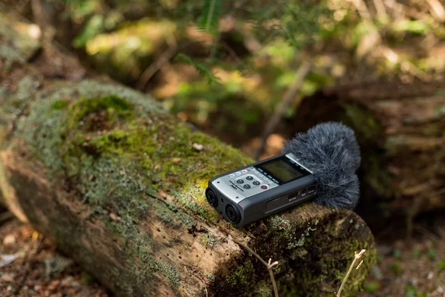 Newcastle APL tweet media