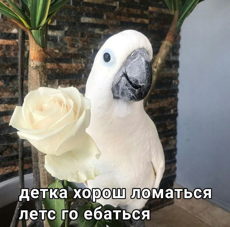 Кристина забирает куртку на гг киберпанка
Также Кристина через 5 минут у меня в лс: