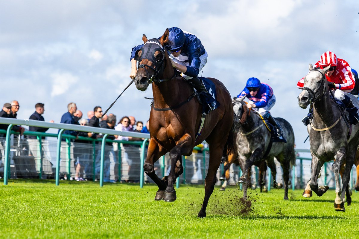 RACE 4 RESULT - Ian Carnaby Handicap

🥇 Kranjcar 
🥈 Valadero
🥉 Unico

Jockey: Jack Callan
Trainer: <a href="/gbougheyracing/">George Boughey Racing</a> 
Owner: George Boughey  

📸 <a href="/dcoolimages/">Darren Cool Images</a>