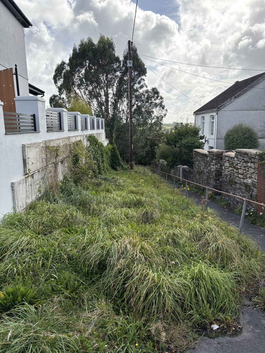 ReesDesign's tweet photo. Hi @carmscouncil. I have recently moved into the house that runs alongside the top of the public foot path (Heol Y Plas > the Bird in Hand pub in Fforest). Is this verge maintained by the council please? It’s becoming v overgrown and considering tackling it myself. Thanks https://t.co/ABT8faLc16