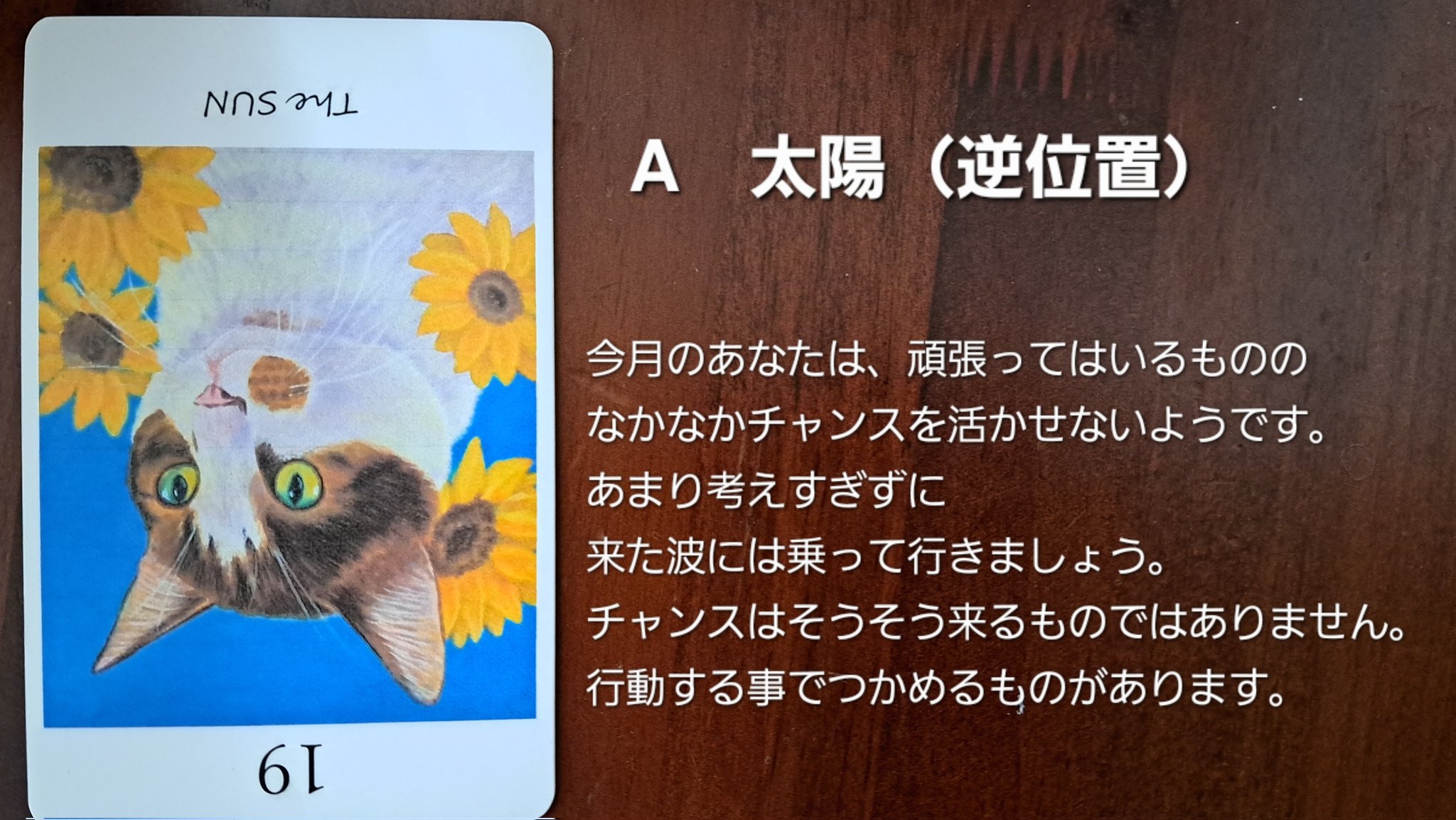 失われた魂のタロット ❤︎ レインボーフォイルエッジ ❤︎ 華麗 Amazon.co.jp: ニチユー(Nichiyu) タロットカード 占い ウェイト