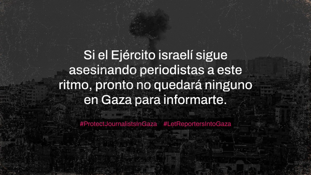 🚨 Más de 220 periodistas han sido asesinados en Gaza. Desde la <a href="/redpergenero/">Red Int. de Periodistas con Visión de Género</a> nos sumamos al llamado de <a href="/RSF_inter/">RSF</a>: proteger a la prensa, denunciar los crímenes y defender el derecho a informar.

#ProtectJournalistsInGaza #LetReportersIntoGaza