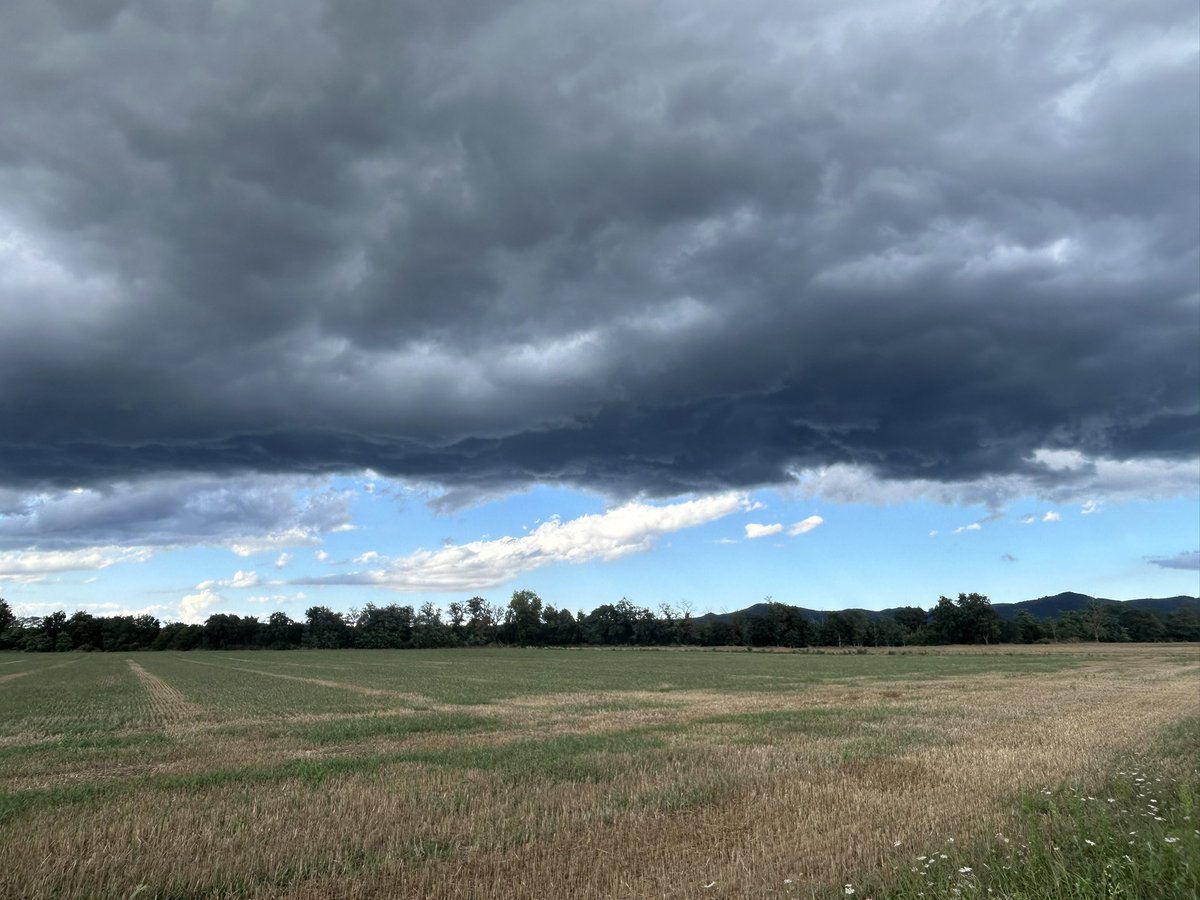 Jordi Soler (@jordisolerramio) on Twitter photo Esperant els ruixats de tarda/vespre
Llagostera, gavarres
<a href="/Vakapiupiuu/">Nieldelamar</a> <a href="/meteopalamos_/">Méteo Palamós</a> <a href="/MeteoGasso/">Marc Gassó Torrents</a> <a href="/alexmegapc/">Àlex Van der Laan</a> Esperant els ruixats de tarda/vespre
Llagostera, gavarres
<a href="/Vakapiupiuu/">Nieldelamar</a> <a href="/meteopalamos_/">Méteo Palamós</a> <a href="/MeteoGasso/">Marc Gassó Torrents</a> <a href="/alexmegapc/">Àlex Van der Laan</a>